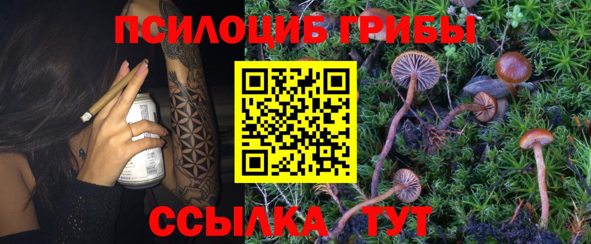 Псилоцибиновые грибы Psilocybine cubensis  Вход с VPN  Псилоцибиновые грибы MAGIC MUSHROOMS  Удомля 