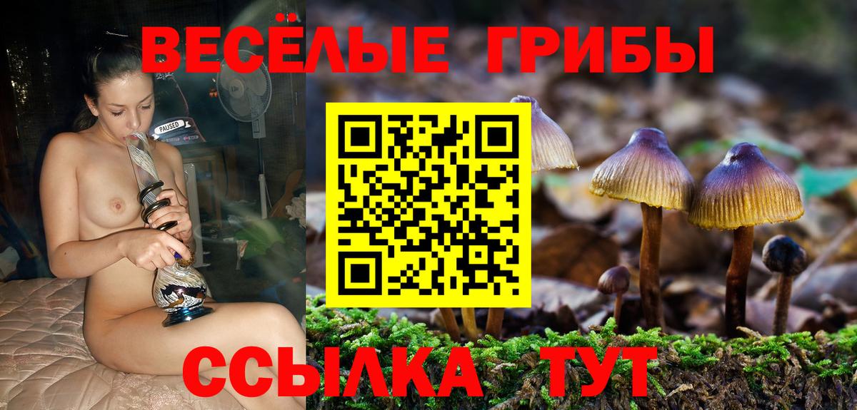 Псилоцибиновые грибы мицелий Удомля